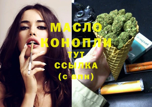 хмурый Инта
