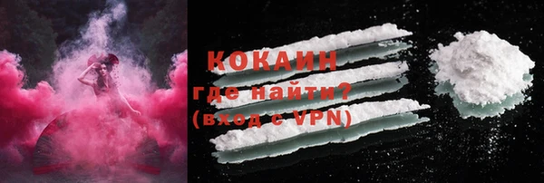 хмурый Инта