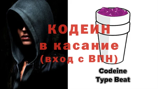 хмурый Инта