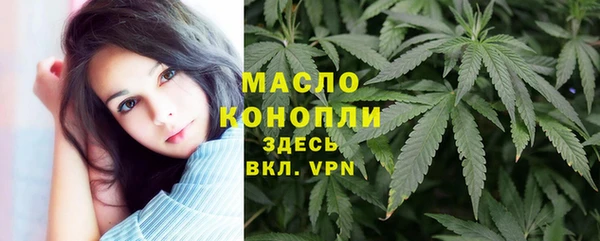хмурый Инта