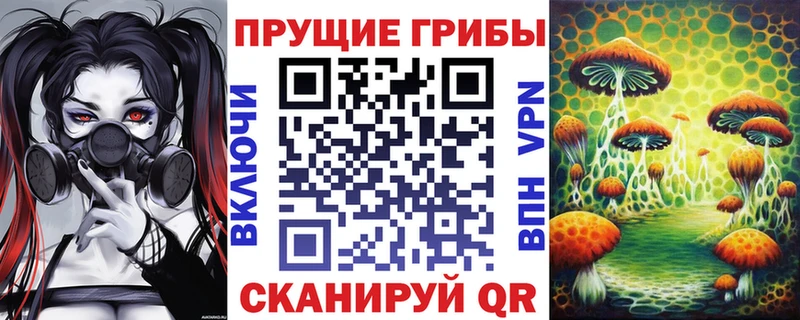 Псилоцибиновые грибы Psilocybe  дарк нет Telegram  Первомайск 